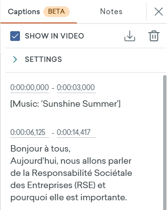 Capture montrant le panneau des sous-titres sur Vyond